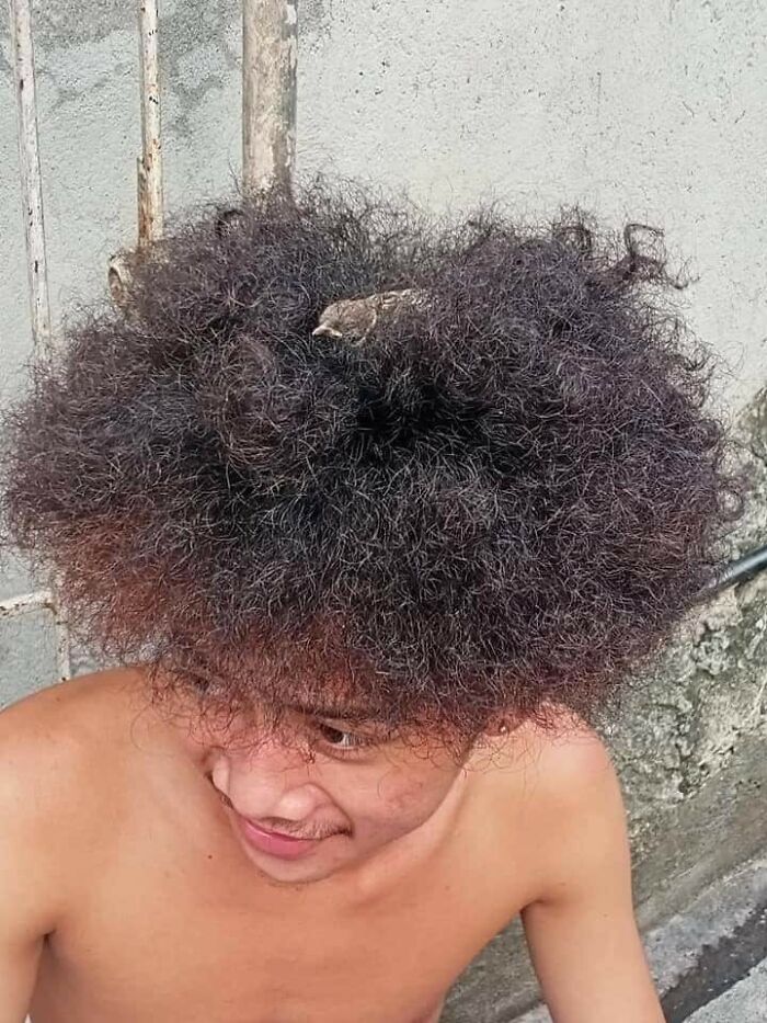 31 Of The Most Hilarious And Cute ‘Important Animal Images’ To Brighten Your Day (New Pics)