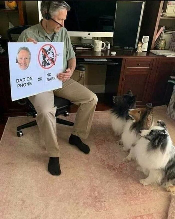 31 Of The Most Hilarious And Cute ‘Important Animal Images’ To Brighten Your Day (New Pics)