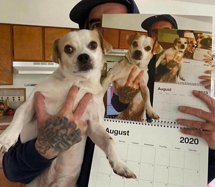 31 Of The Most Hilarious And Cute ‘Important Animal Images’ To Brighten Your Day (New Pics)