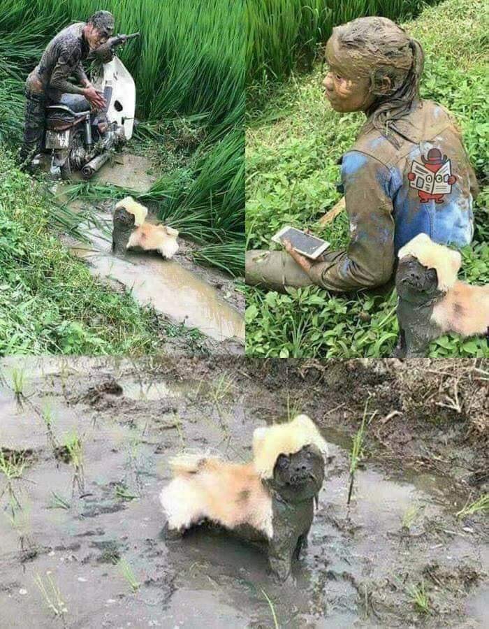 31 Of The Most Hilarious And Cute ‘Important Animal Images’ To Brighten Your Day (New Pics)