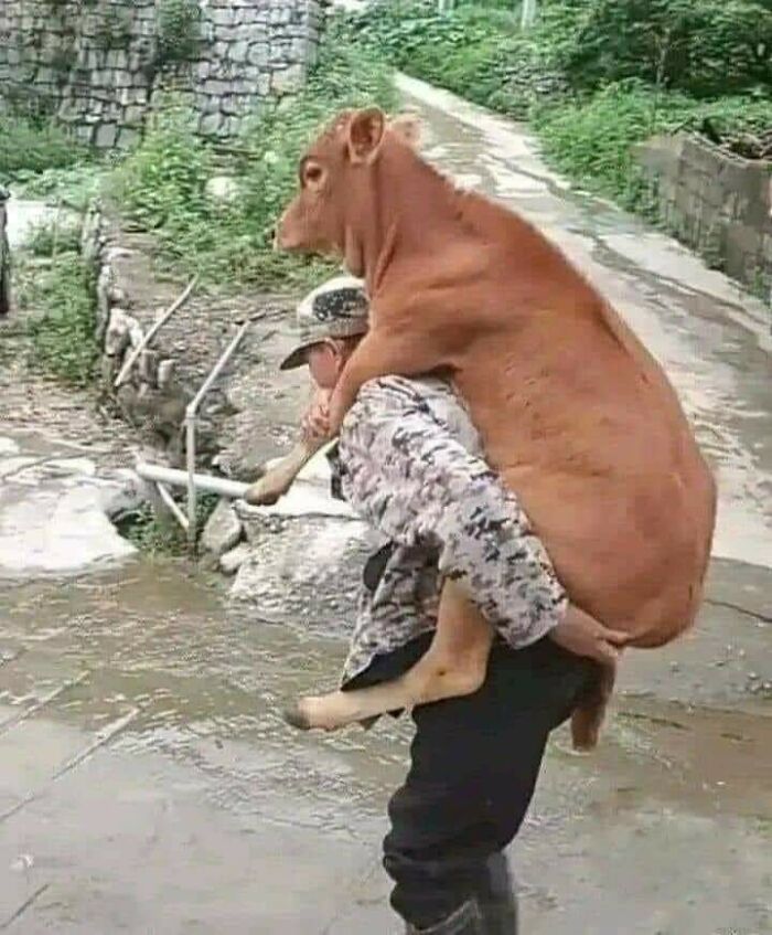 31 Of The Most Hilarious And Cute ‘Important Animal Images’ To Brighten Your Day (New Pics)