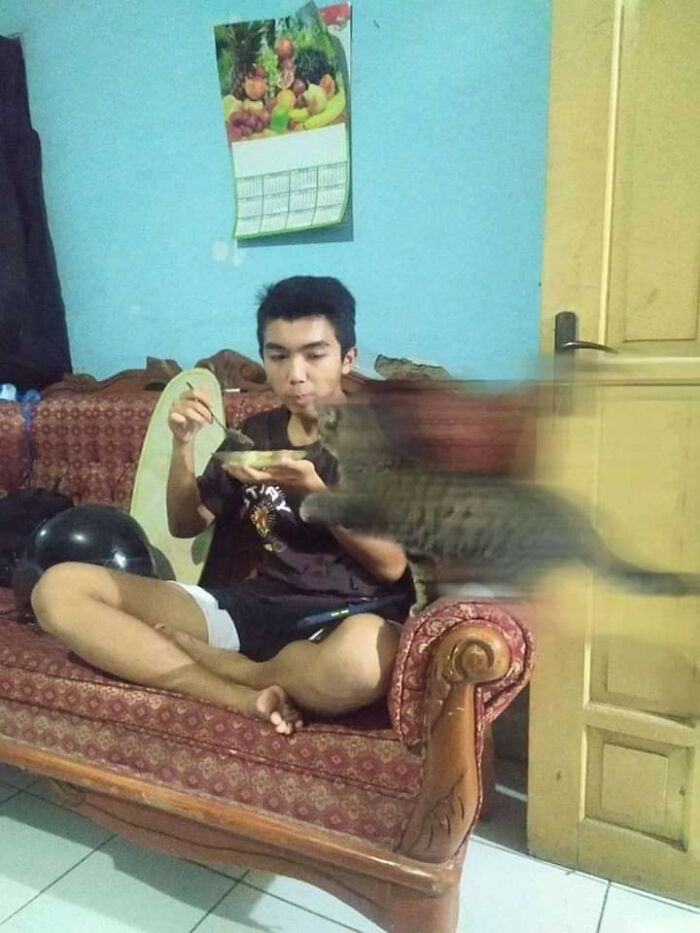 31 Of The Most Hilarious And Cute ‘Important Animal Images’ To Brighten Your Day (New Pics)