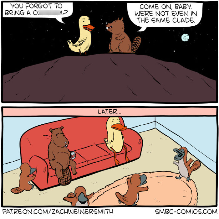 50 New &lsquo;Saturday Morning Breakfast Cereal&rsquo; Comics About Life, Science, And Everything In Between