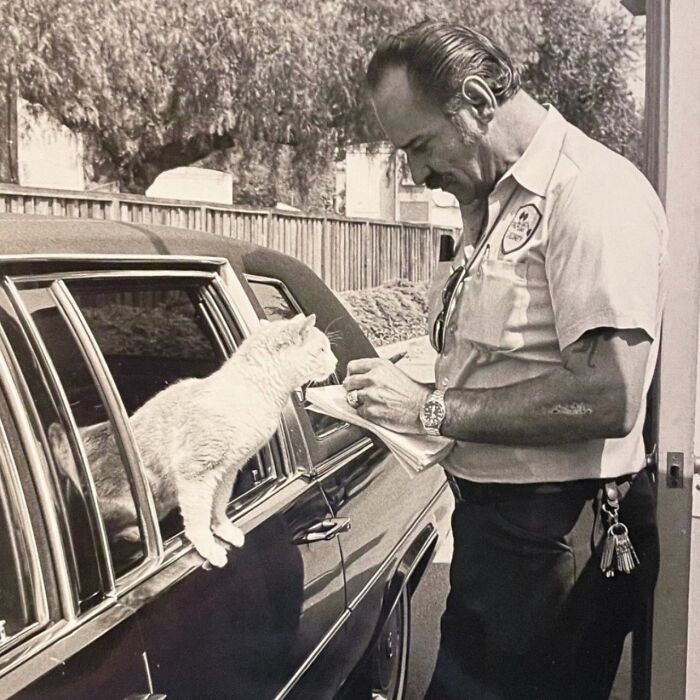 100 Fascinating Historical Photos That Might Change Your Perspective On Cats, As Shared By This Page (New Pics)