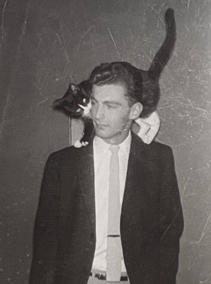 100 Fascinating Historical Photos That Might Change Your Perspective On Cats, As Shared By This Page (New Pics)