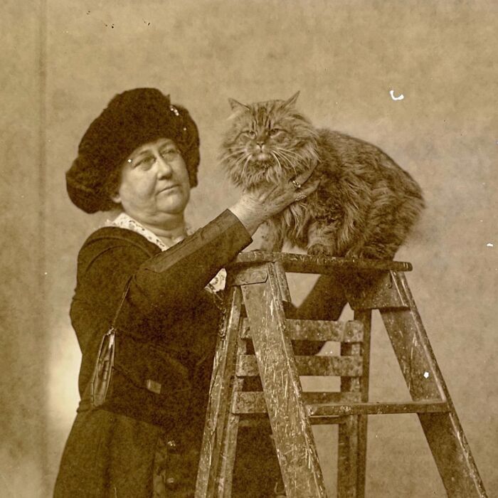 100 Fascinating Historical Photos That Might Change Your Perspective On Cats, As Shared By This Page (New Pics)