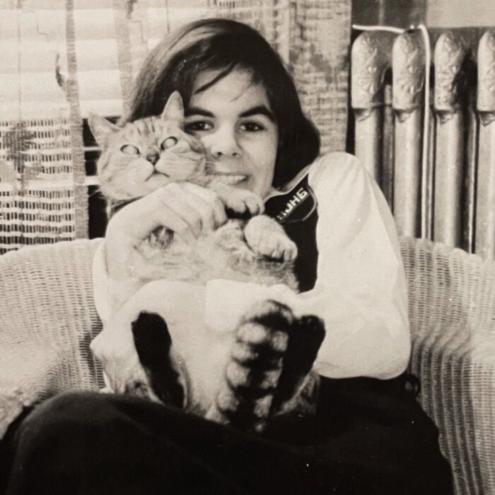 100 Fascinating Historical Photos That Might Change Your Perspective On Cats, As Shared By This Page (New Pics)