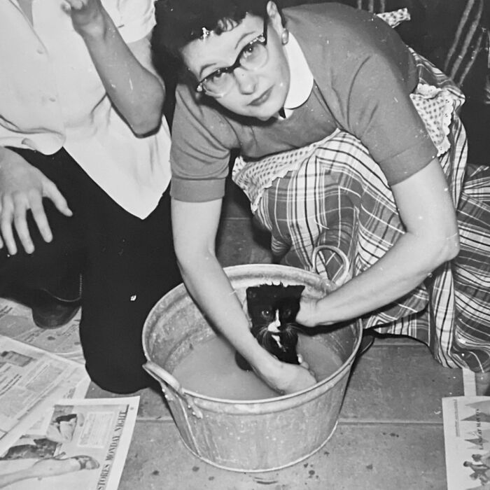 100 Fascinating Historical Photos That Might Change Your Perspective On Cats, As Shared By This Page (New Pics)