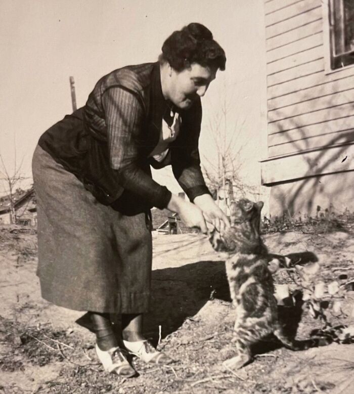 100 Fascinating Historical Photos That Might Change Your Perspective On Cats, As Shared By This Page (New Pics)