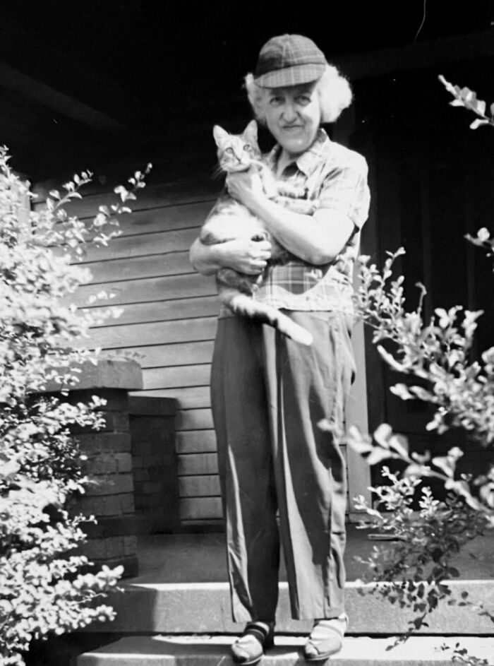 100 Fascinating Historical Photos That Might Change Your Perspective On Cats, As Shared By This Page (New Pics)