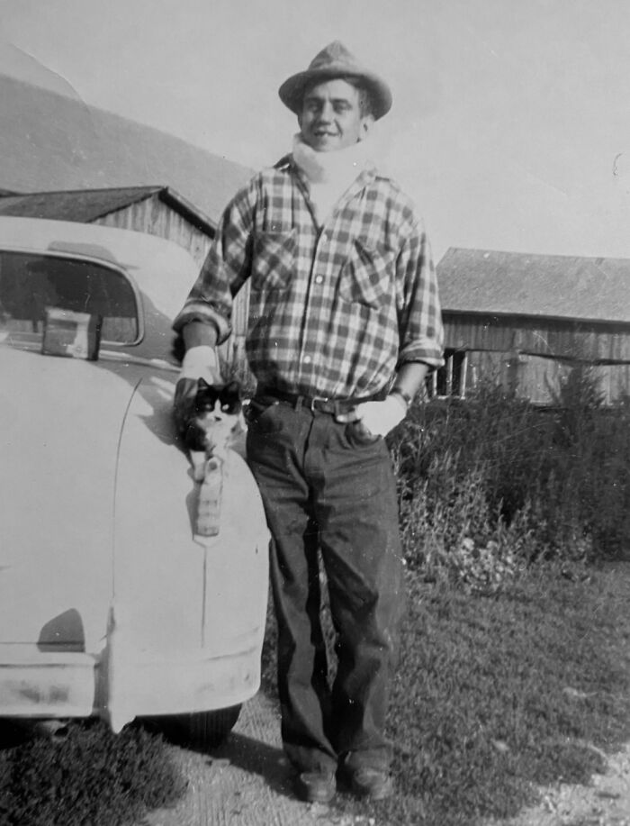 100 Fascinating Historical Photos That Might Change Your Perspective On Cats, As Shared By This Page (New Pics)