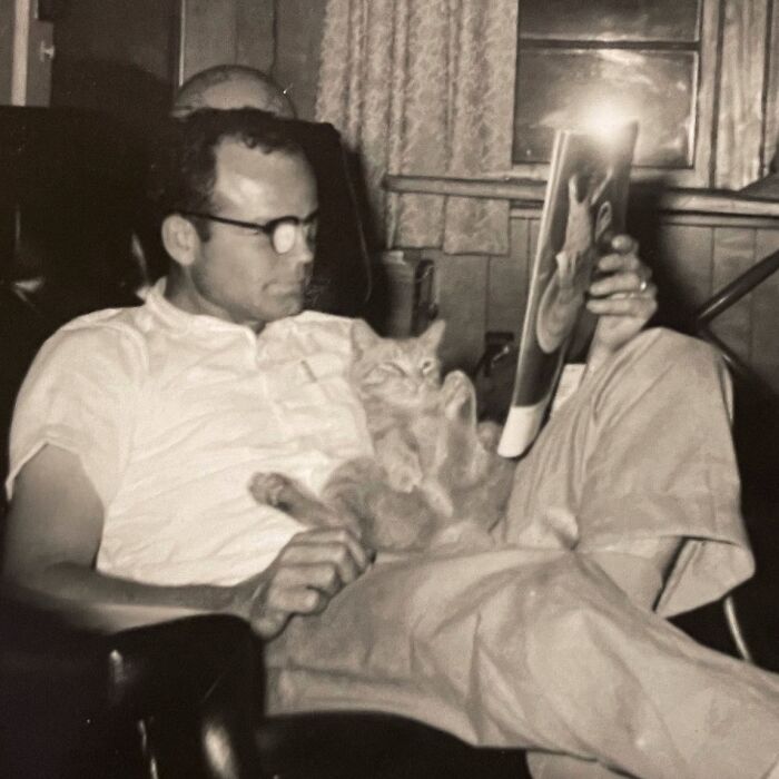 100 Fascinating Historical Photos That Might Change Your Perspective On Cats, As Shared By This Page (New Pics)