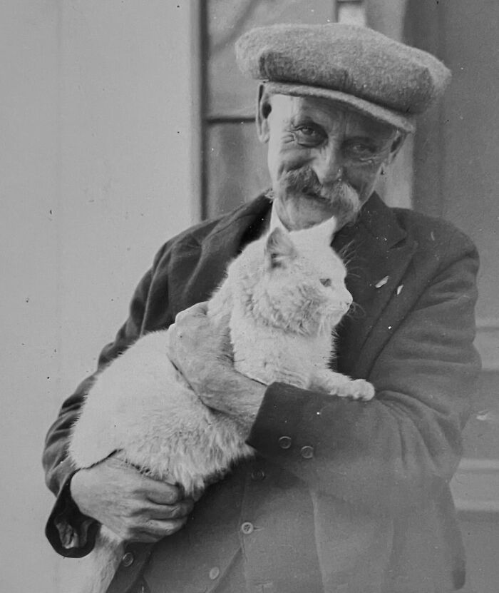100 Fascinating Historical Photos That Might Change Your Perspective On Cats, As Shared By This Page (New Pics)