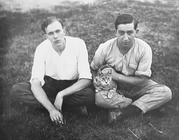 100 Fascinating Historical Photos That Might Change Your Perspective On Cats, As Shared By This Page (New Pics)