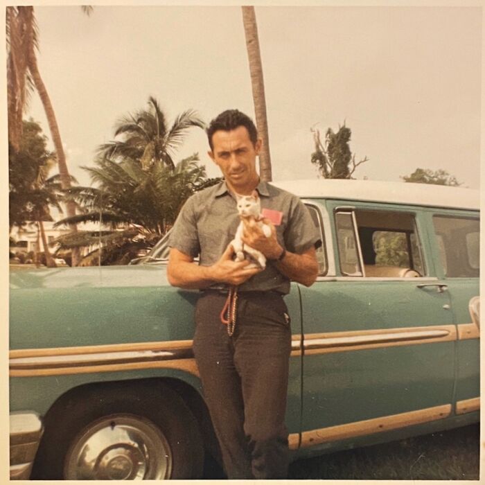 100 Fascinating Historical Photos That Might Change Your Perspective On Cats, As Shared By This Page (New Pics)