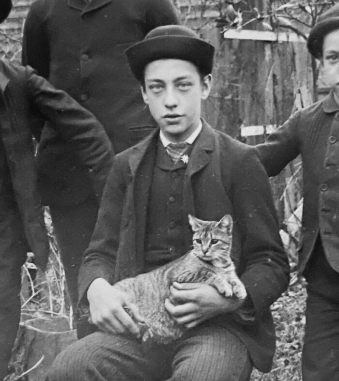 100 Fascinating Historical Photos That Might Change Your Perspective On Cats, As Shared By This Page (New Pics)