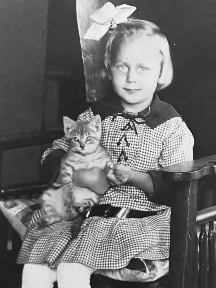 100 Fascinating Historical Photos That Might Change Your Perspective On Cats, As Shared By This Page (New Pics)