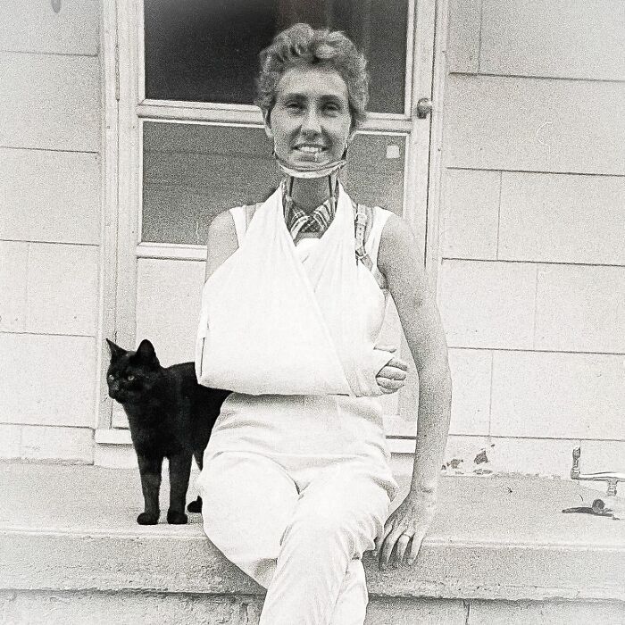 100 Fascinating Historical Photos That Might Change Your Perspective On Cats, As Shared By This Page (New Pics)