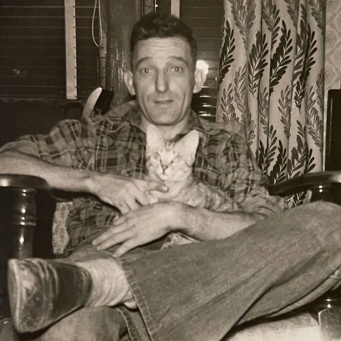 100 Fascinating Historical Photos That Might Change Your Perspective On Cats, As Shared By This Page (New Pics)