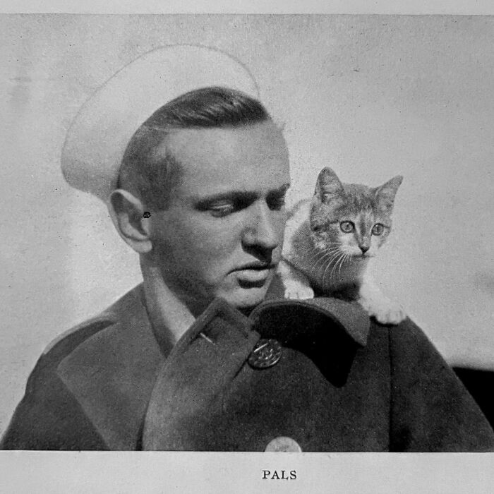 100 Fascinating Historical Photos That Might Change Your Perspective On Cats, As Shared By This Page (New Pics)