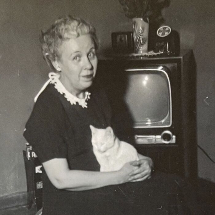 100 Fascinating Historical Photos That Might Change Your Perspective On Cats, As Shared By This Page (New Pics)