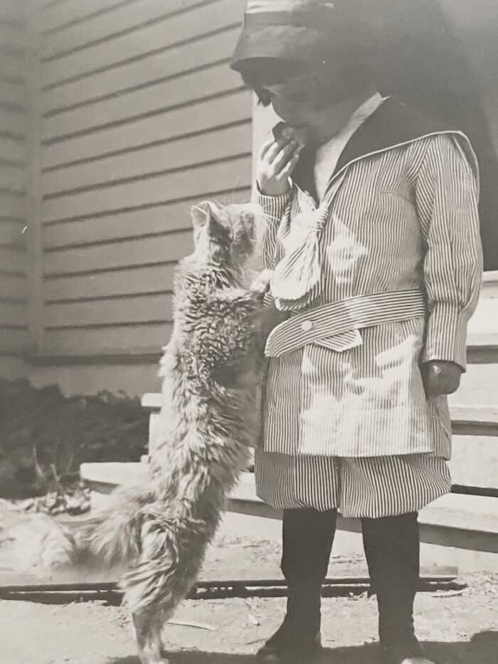 100 Fascinating Historical Photos That Might Change Your Perspective On Cats, As Shared By This Page (New Pics)