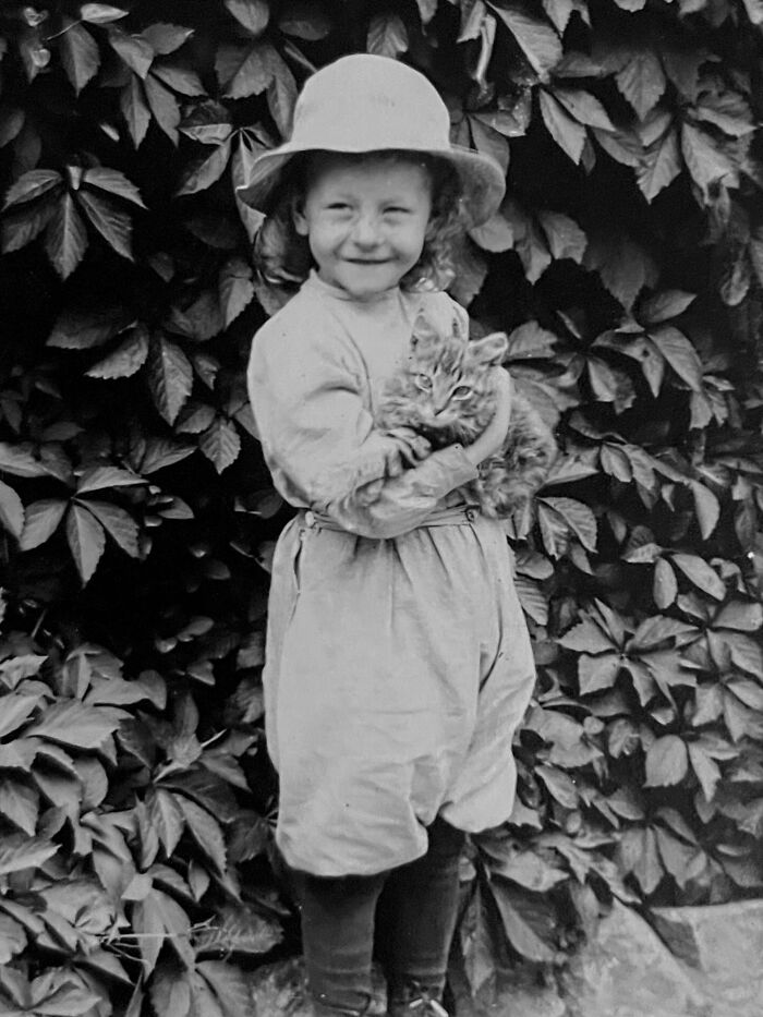 100 Fascinating Historical Photos That Might Change Your Perspective On Cats, As Shared By This Page (New Pics)