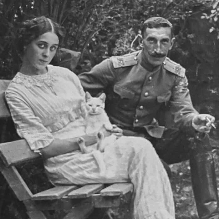 100 Fascinating Historical Photos That Might Change Your Perspective On Cats, As Shared By This Page (New Pics)