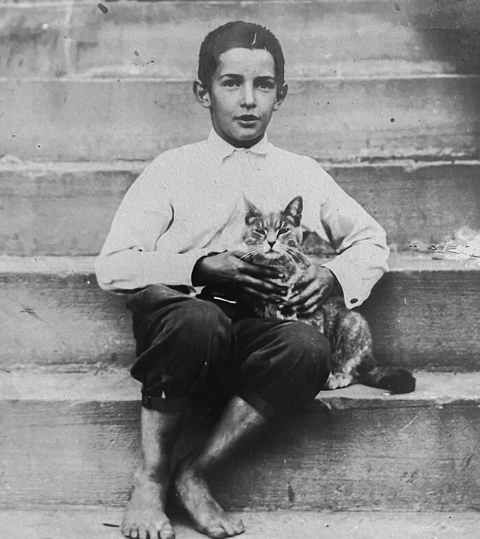 100 Fascinating Historical Photos That Might Change Your Perspective On Cats, As Shared By This Page (New Pics)