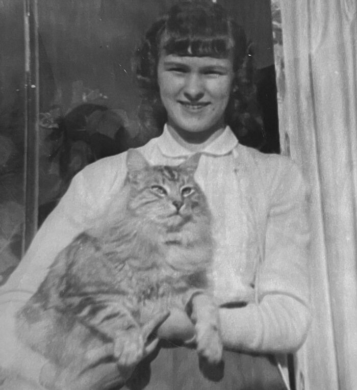 100 Fascinating Historical Photos That Might Change Your Perspective On Cats, As Shared By This Page (New Pics)