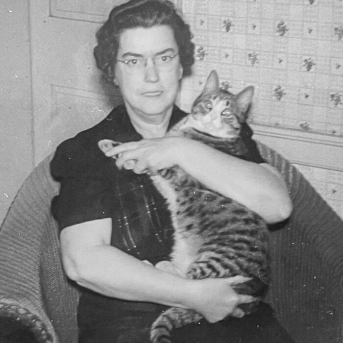 100 Fascinating Historical Photos That Might Change Your Perspective On Cats, As Shared By This Page (New Pics)