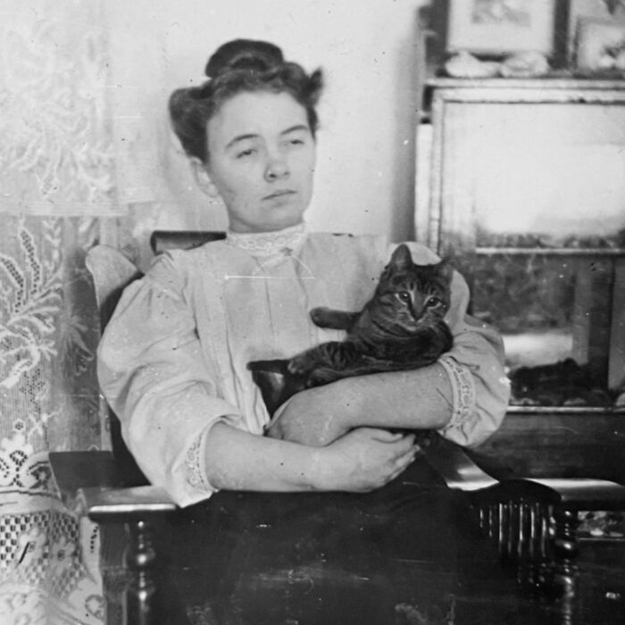 100 Fascinating Historical Photos That Might Change Your Perspective On Cats, As Shared By This Page (New Pics)