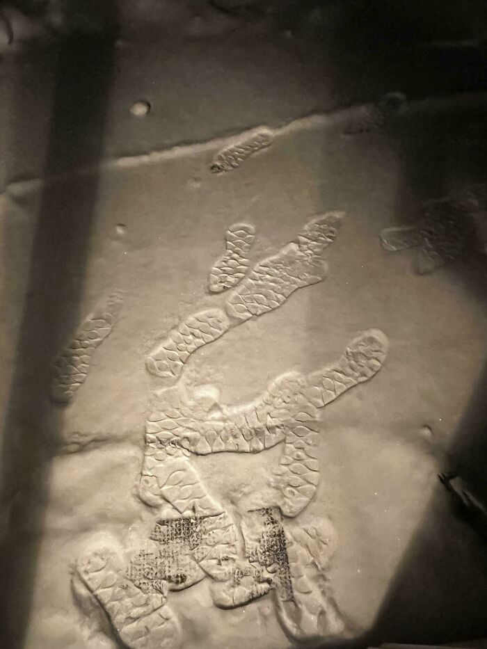 &ldquo;Hair Of Kids I Babysit&rdquo;: 81 Creepy Images You Should View At Your Own Risk (New Pics)