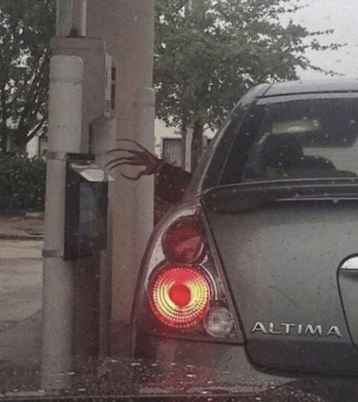 &ldquo;Hair Of Kids I Babysit&rdquo;: 81 Creepy Images You Should View At Your Own Risk (New Pics)