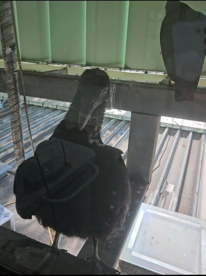 &ldquo;Hair Of Kids I Babysit&rdquo;: 81 Creepy Images You Should View At Your Own Risk (New Pics)