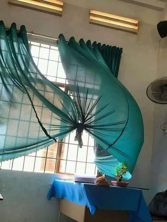 77 Weird Images That Made People Go &ldquo;Hmmm&rdquo; And Then Lived In Their Minds Rent-Free (New Pics)