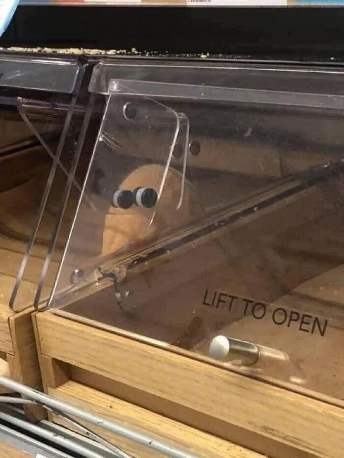 77 Weird Images That Made People Go &ldquo;Hmmm&rdquo; And Then Lived In Their Minds Rent-Free (New Pics)