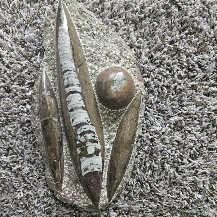 85 Times The Internet Helped People Understand The True Value Of Their Unusual Possessions