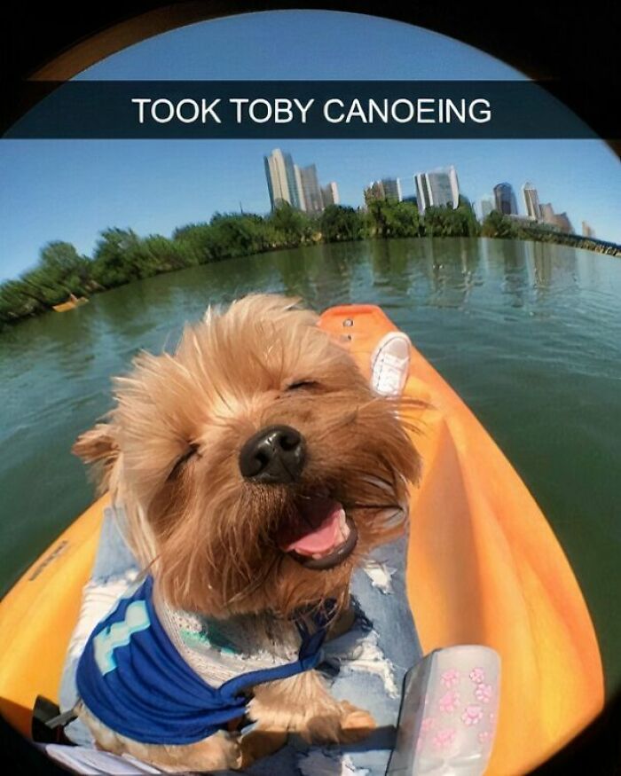 53 Wholesome Posts And Memes To Show You A Different Side Of The Internet