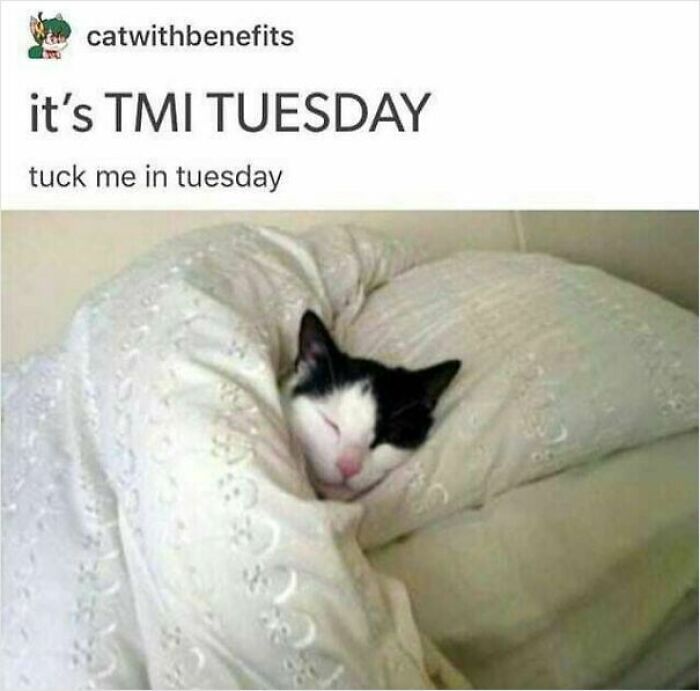 53 Wholesome Posts And Memes To Show You A Different Side Of The Internet