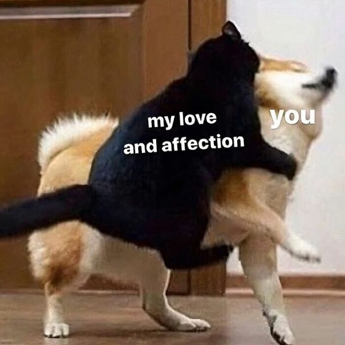 53 Wholesome Posts And Memes To Show You A Different Side Of The Internet