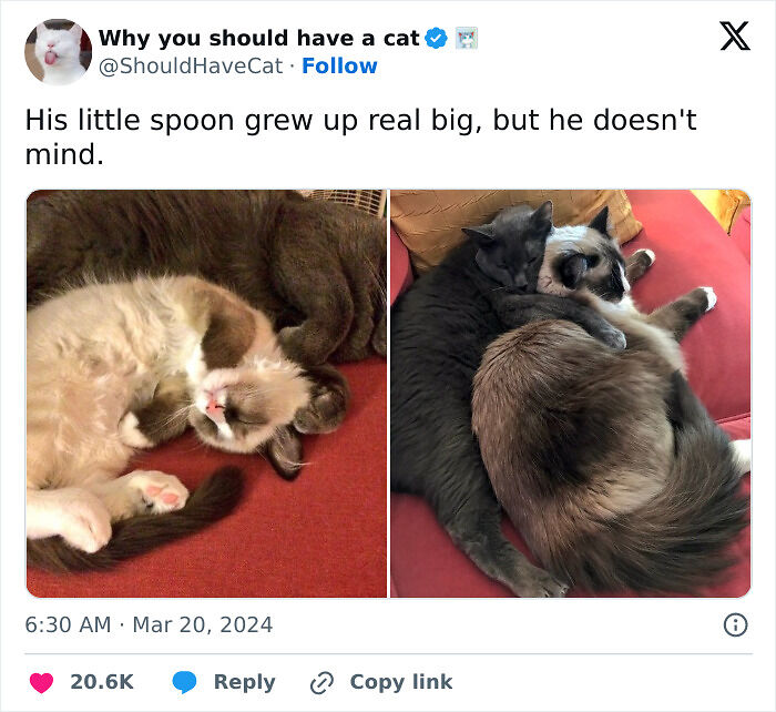 53 Wholesome Posts And Memes To Show You A Different Side Of The Internet