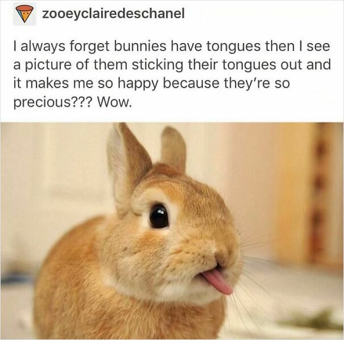 53 Wholesome Posts And Memes To Show You A Different Side Of The Internet