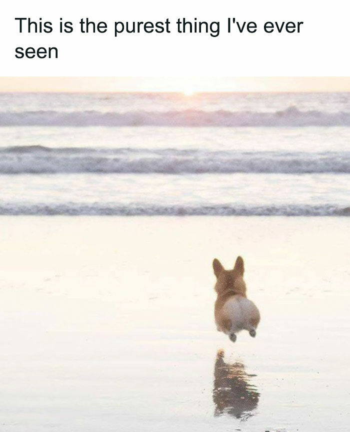 53 Wholesome Posts And Memes To Show You A Different Side Of The Internet