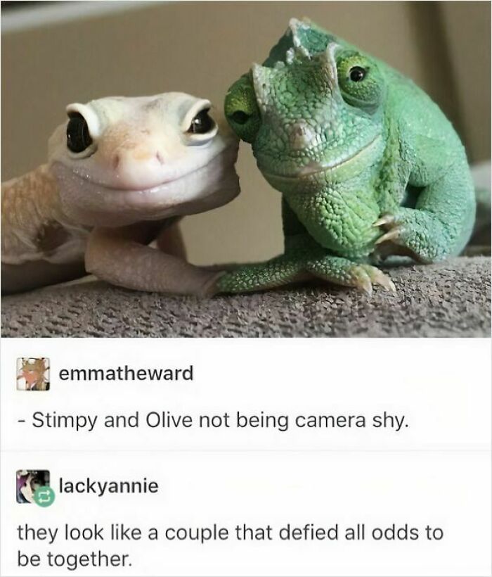 53 Wholesome Posts And Memes To Show You A Different Side Of The Internet