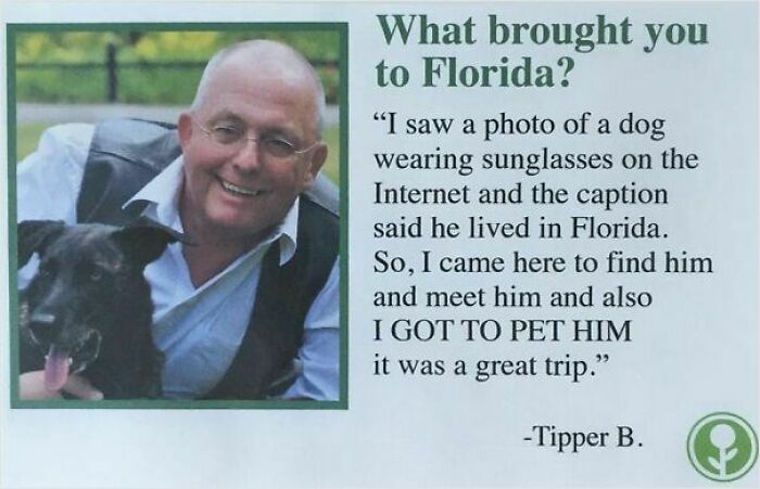 53 Wholesome Posts And Memes To Show You A Different Side Of The Internet