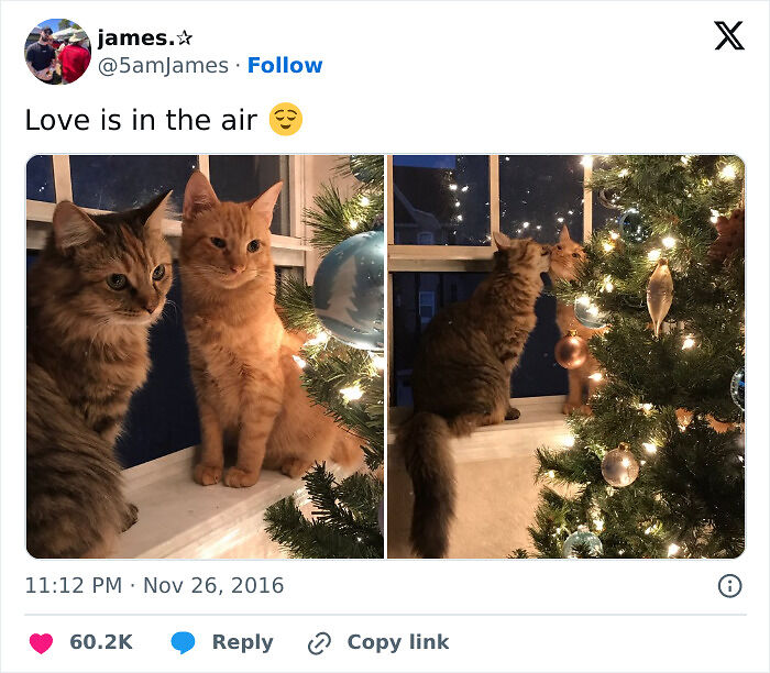 53 Wholesome Posts And Memes To Show You A Different Side Of The Internet