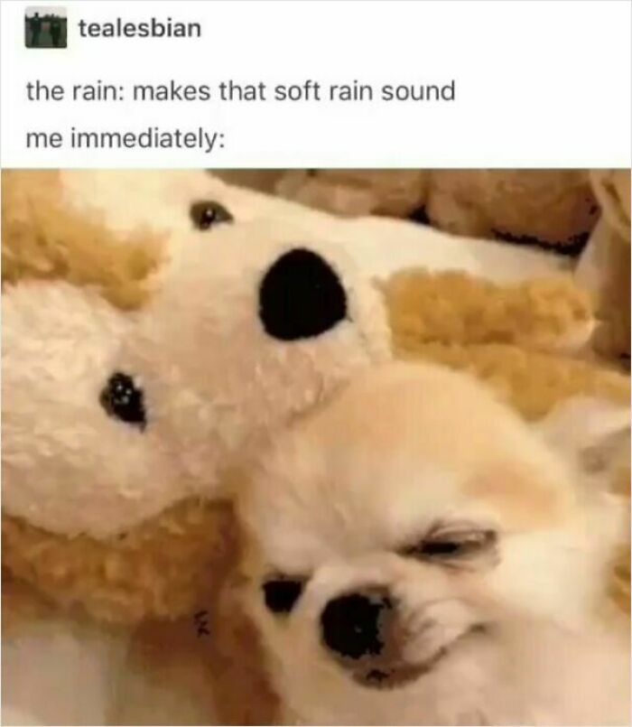 53 Wholesome Posts And Memes To Show You A Different Side Of The Internet