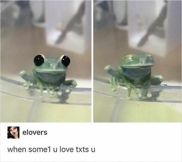 53 Wholesome Posts And Memes To Show You A Different Side Of The Internet