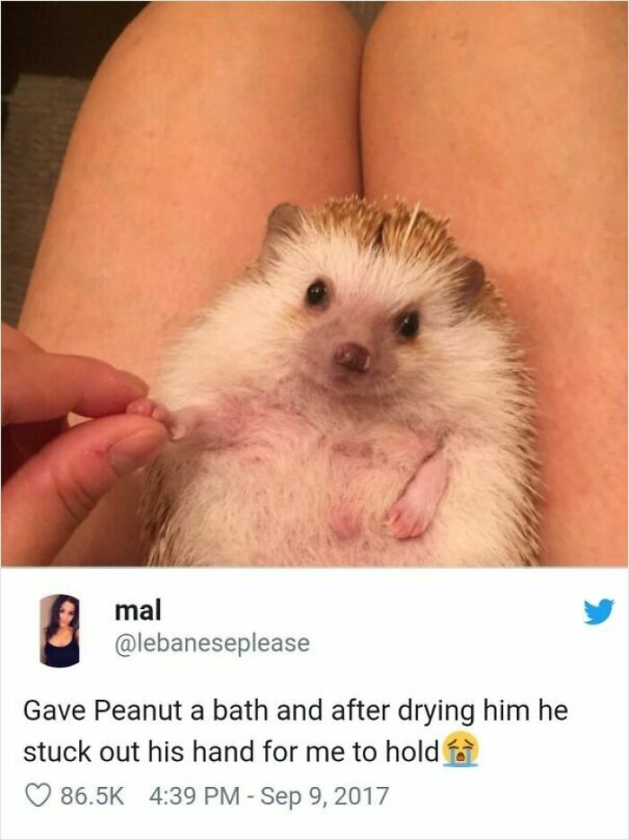 53 Wholesome Posts And Memes To Show You A Different Side Of The Internet